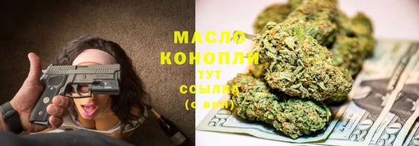 СК Бородино