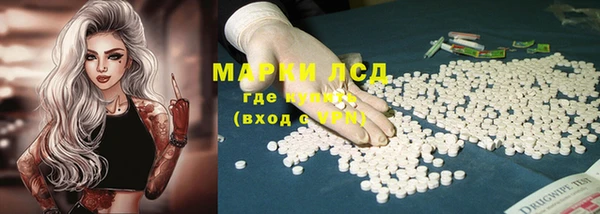 PSILOCYBIN Бугульма