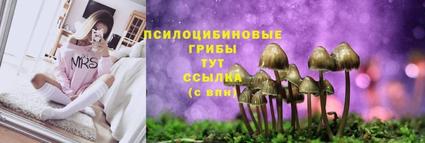 jwh Бронницы
